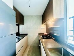 Irwell Hill Residences (D9), Apartment #458602941
